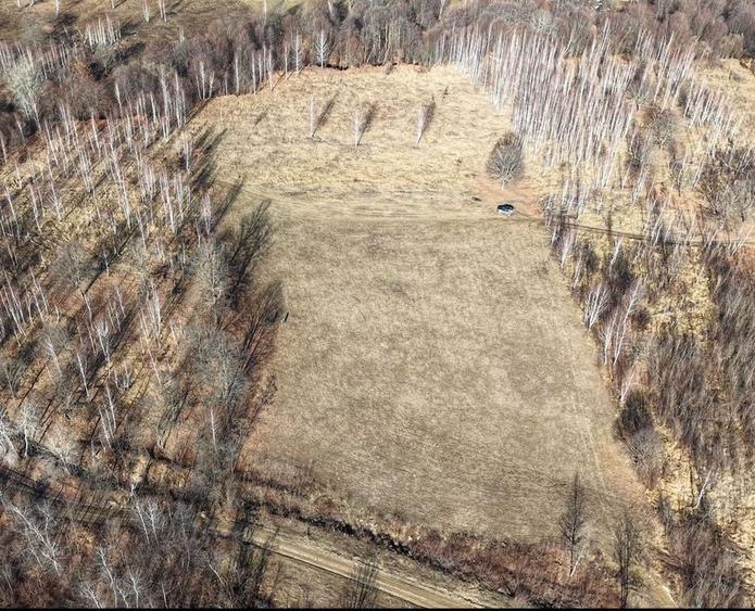 Teren pasune si padure 2,4ha - 3