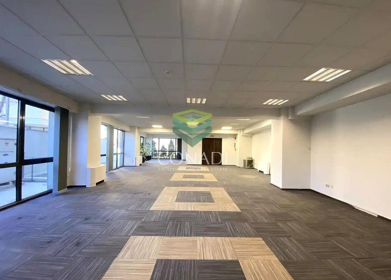 Zona Victoriei, spatiuu de birouri de inchiriat, 155 mp - 1