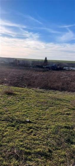 Teren TOP 1400mp  18ml stradal  Vanatori (Odaia Manolache) - 10