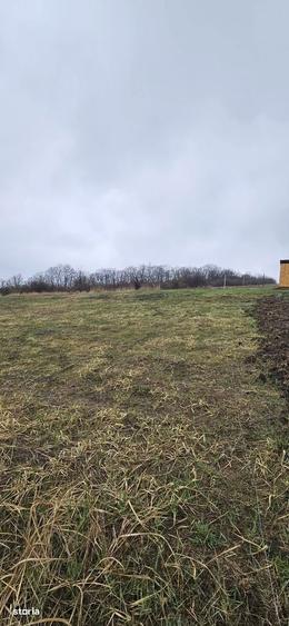 Teren intravilan Chicerea - Tomesti - 656 mp + acces, langa padure - 9