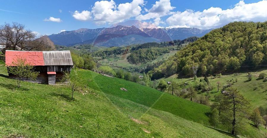 Peisaj spectaculos | Utilita?i ITeren intravilan Moieci... - 3