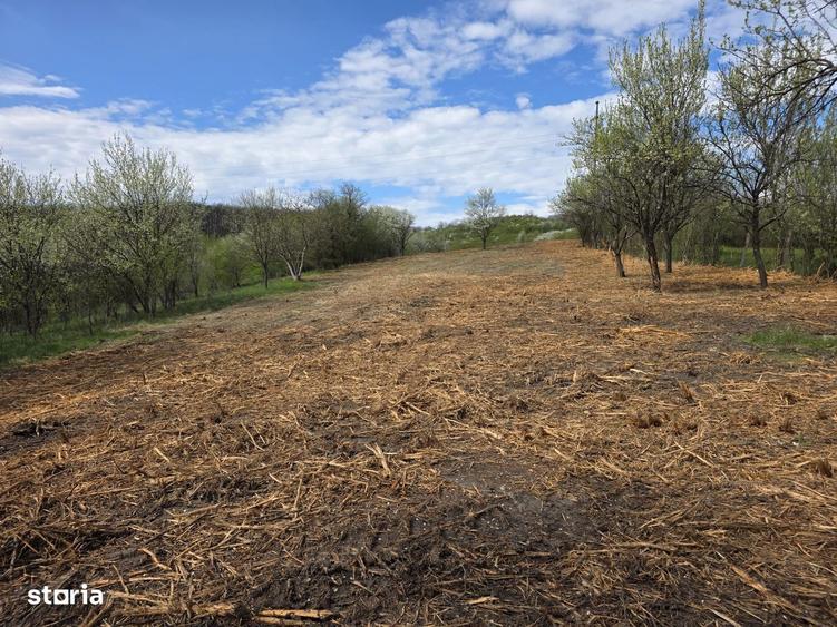 De vanzare teren intravilan Barsau, jud. Hunedoara - 10