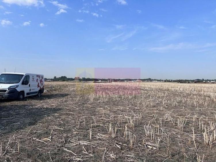 Teren Domnesti strada Ciocarliei. - 1