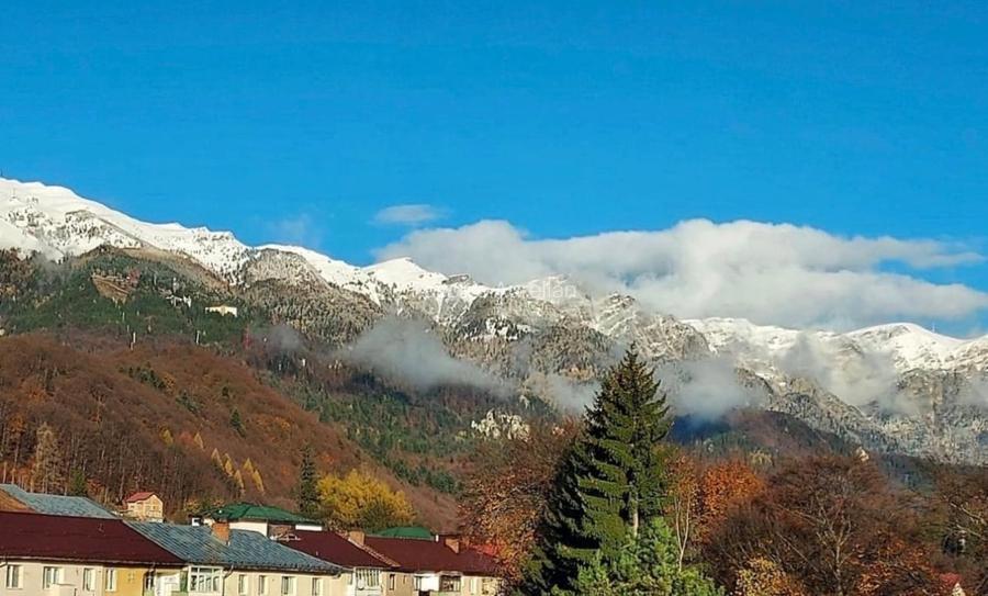 Studio Sinaia cu vedere spre munte Studio Sinaia cu vedere spre munte
