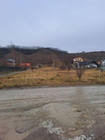 Teren intravilan pentru constructii in Sinnicoara - Sub Coasta, Apahida - 1