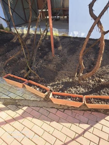 CASA  COMPLET PREGATITA PENTRU LOCUIT, CURATA COMPLET RENOVATA - 7