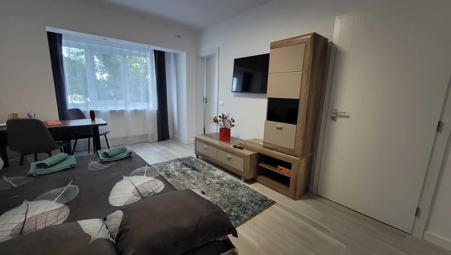 Studio Modern/Semidecomandat ZONA FRIGORIFER - ROVINE(5 minute de calea buc) - 4