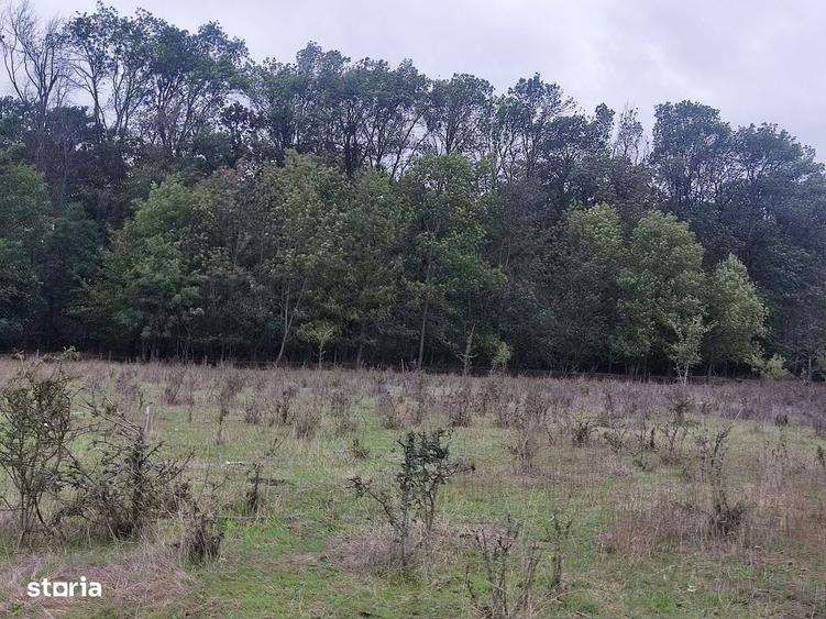 Pipera proprietar,950mp langa padurea Baneasa,vile Manor,OxfordGardens - 2