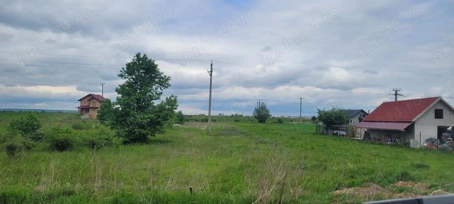 Teren intravilan 3600 mp Dumbrava Rosie 2 drumuri acces - 5