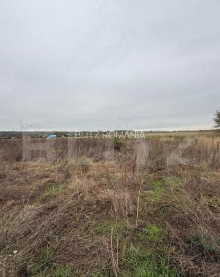 Teren de vanzare, 1000 mp, zona Dragomire?ti Teren de vanzare, 1000 mp, zona Dragomire?ti