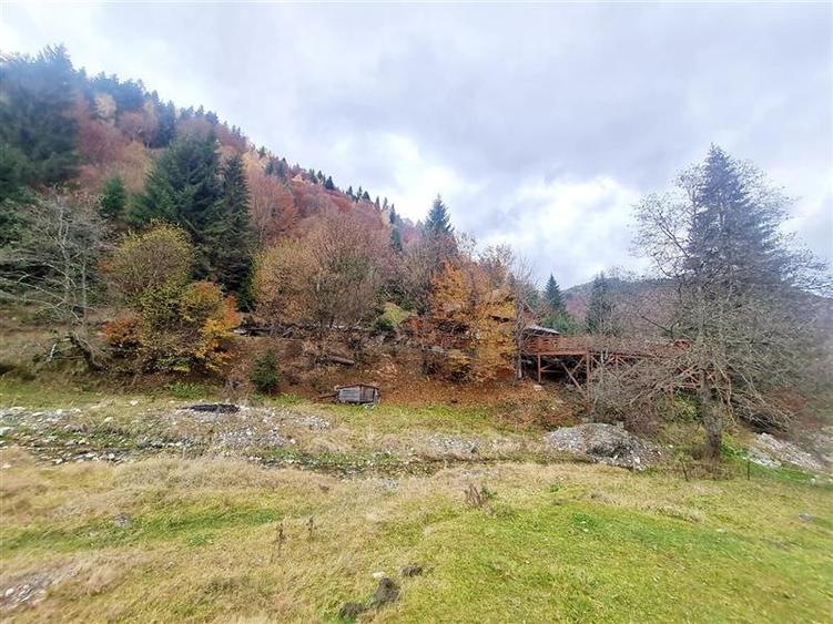 Parcela urbanizabila spectaculoasa,4.600 mp, priveliste emblematica:Piatra Craiu - 14