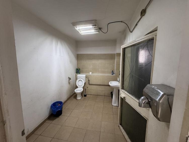 Vilă P+1 | Str. Vlad Județul 55 teren 300m | Birouri sau producție - 3