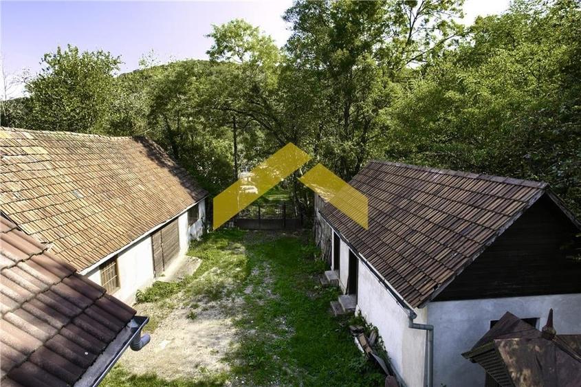 Casa cu padure de vanzare in Savarsini - 2