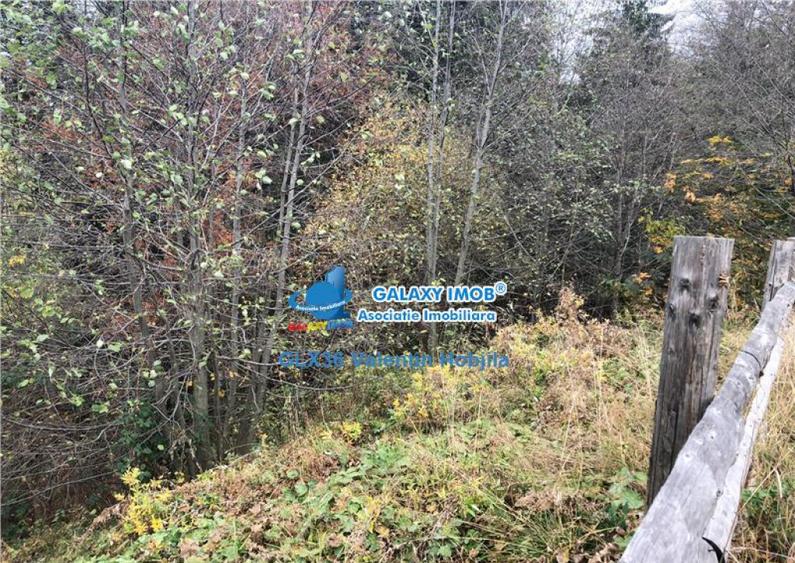 Teren 850 mp Predeal Cioplea - Belvedere - 2