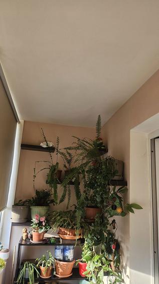 Apartament cu 3 camere de vanzare - 4