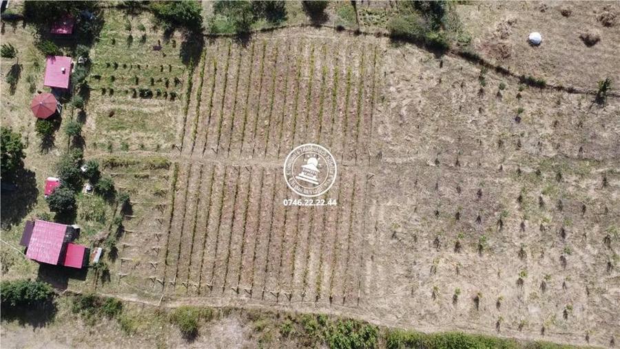 Teren pentru constructii case de vanzare Iasi, Mogosesti, - 1