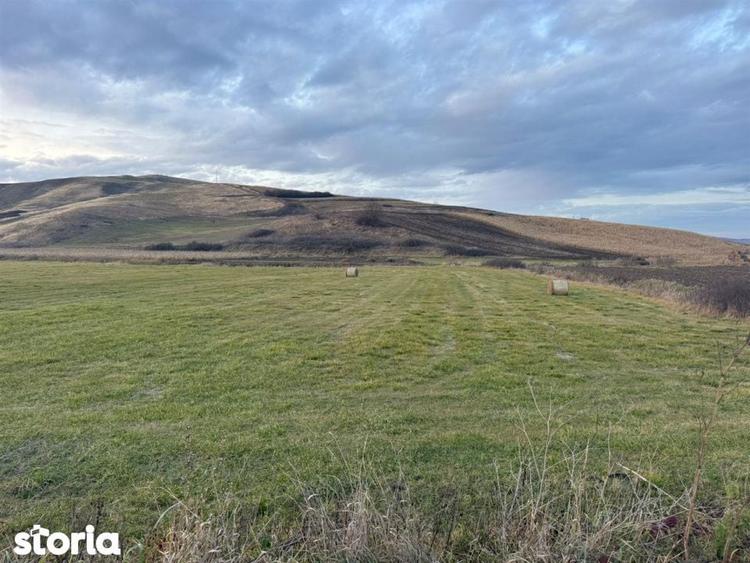 Teren Extravilan I 6000 Mp I Acces la drum | Cojocna - 5