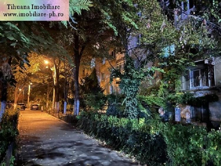 Apartament 2 camere de inchiriat : Central-Cantacuzino (Vasile Lupu) - 9