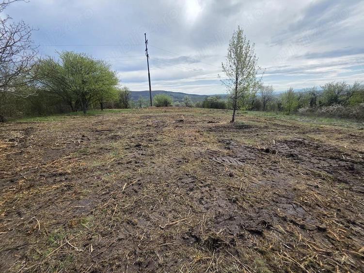 De vanzare teren intravilan 6704 mp Barsau, jud. Hunedoara - 3