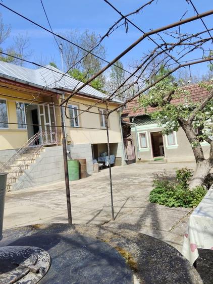 Casa de vanzare ,com Bezdead sat Magura (Tunari) - 8
