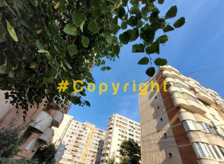 Proprietar vând apt 1 camera, decomandat,  strada Năsăud, Mărăști - 10