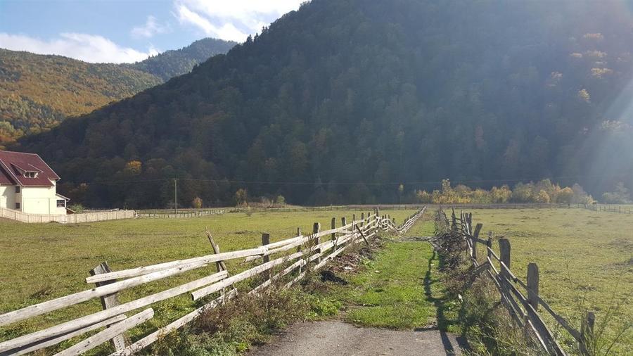 Teren extravilan Lepsa zona Casa Albert - 5