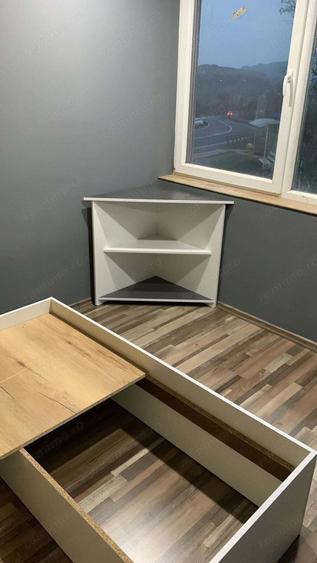 Vand pensiune in Dealu Mare (Comuna Valisoara), judetul Hunedoara, constructie din BCA din anul 2020 - 10