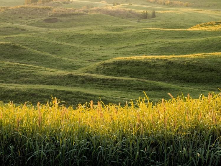 Vanzare Teren Extrav. divizate Arabil, Pășune Chesint, Zabrani48.86ha - 5