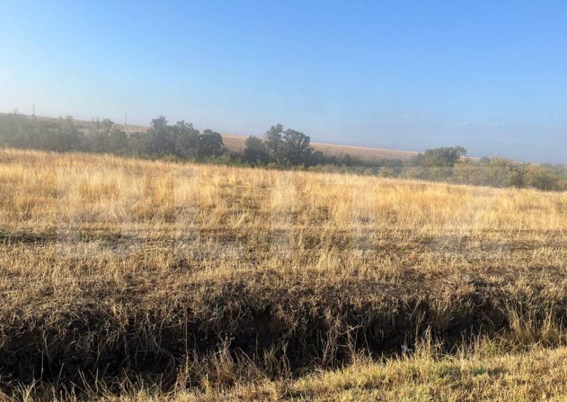 Teren intravilan, 2.500 mp, sat Sarbatoarea - 2