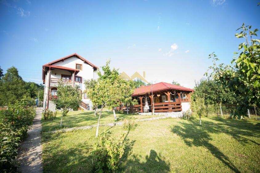 Vanzari Case / vile - 3