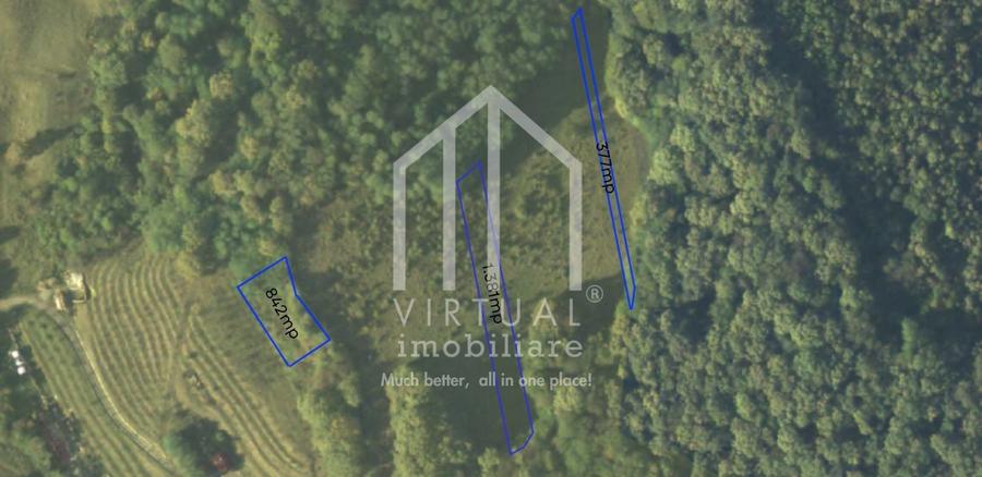 Teren extravilan de vanzare pentru Cabana, Zona Sarba Sura Mare - 2