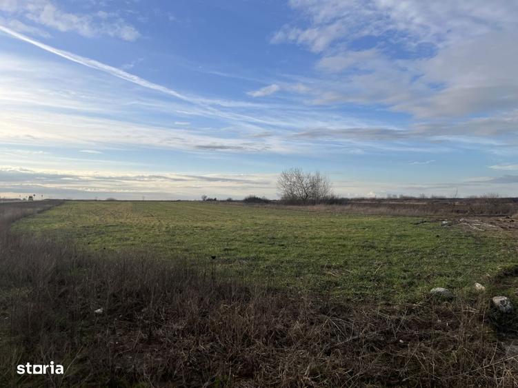 Teren 7481 mp, cu acces facil la Inelul Metropolitan - 1