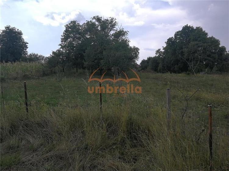 De vanzare teren 1.800/? intrav. in Deus- Chinteni ! - 3