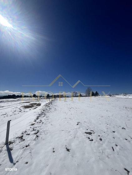 De vanzare Teren in Marisel cu suprafata de 2500 mp - 4