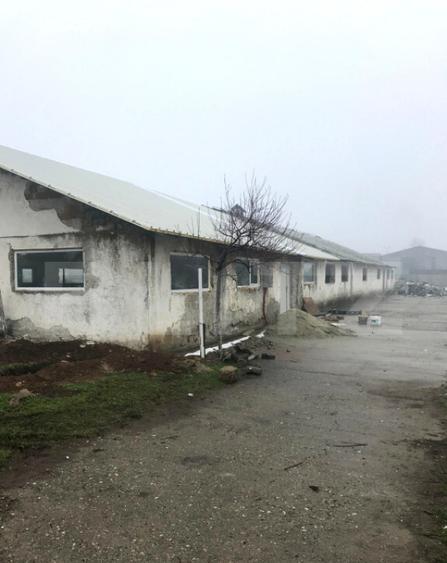 Hala Industriala, 175 mp, zona Exterior Sud - 17