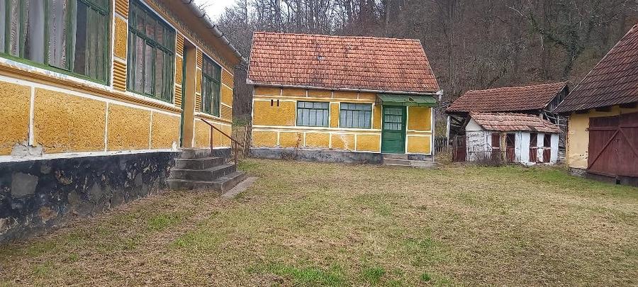 Casă cu Teren 6400 Mp în Petriș