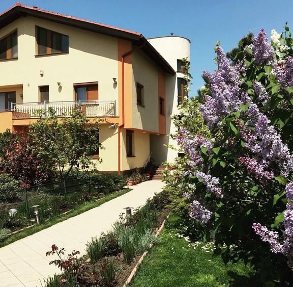 Casă cu 13 camere cu Piscina în Roșu
