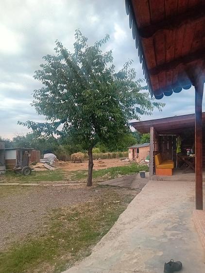 Casă cu Teren 1300 Mp în Zăicești