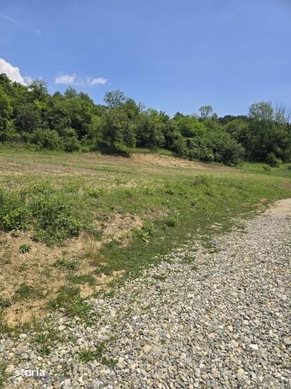 Teren de 650 mp, în Vlădești