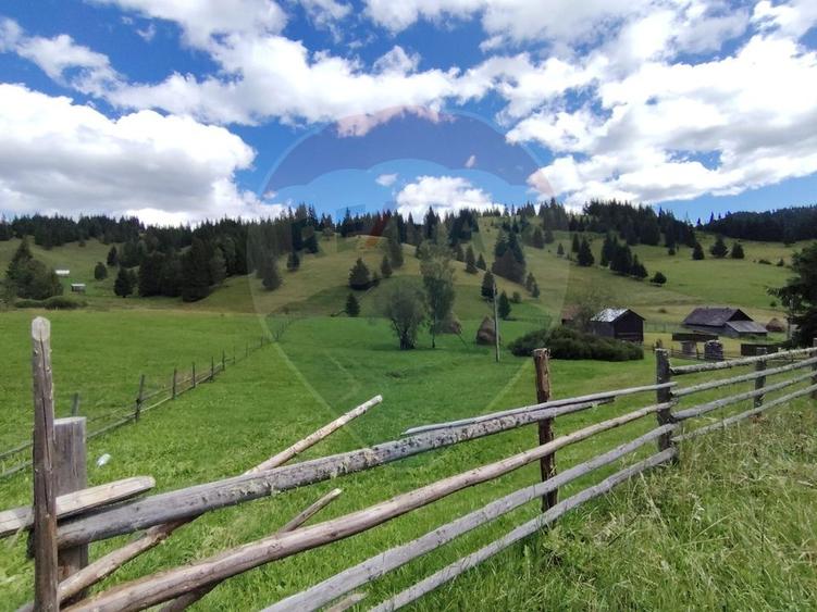 Teren agricol extravilan de 14318 mp, în Panaci