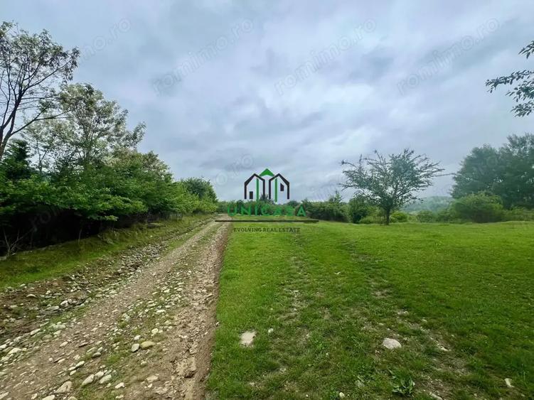 Teren de 3507 mp, în Seaca (Călimănești)