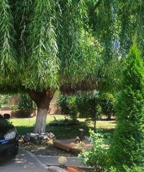 Casa Prahova Comuna Buchilas | 2.800 MP TEREN | Zona Verde | Padure - 8