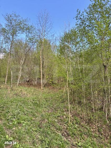 Teren extravilan, 2.8 ha, in zona ?andru, Campulung Moldovenesc - 5
