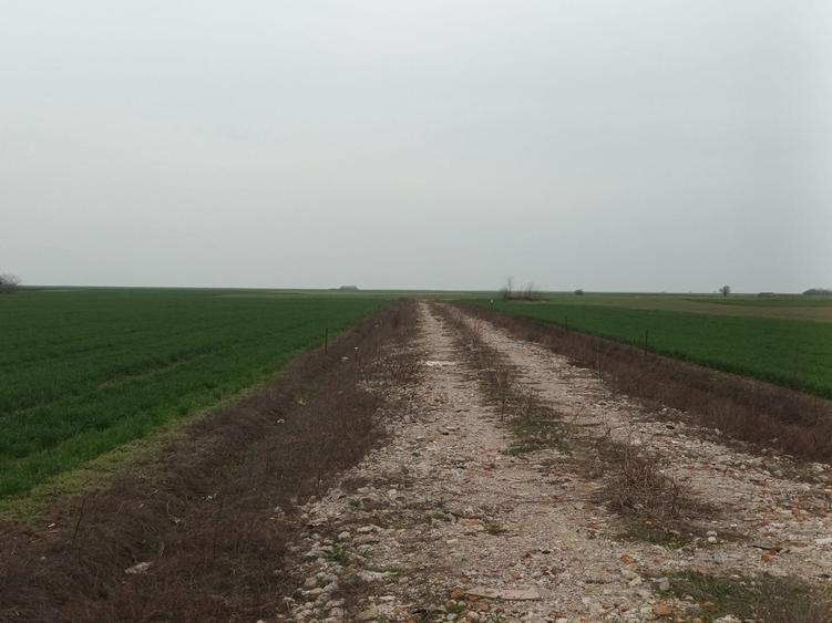 Teren de 300 mp in Berceni, Plan de Plata Flexibil - 3