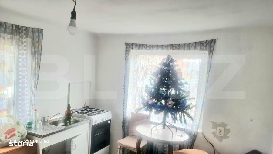 Casă cu 4 camere în Negoiești