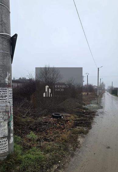 2 loturi 1000 mp Strada Pinului - 1 Decembrie - 4