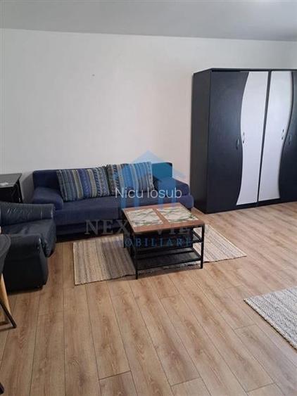 Apartament 1 camera, Plopilor