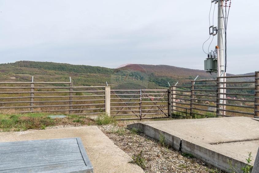 Ferma moderna de porci de vanzare in Curtuiusu Dejului - 14