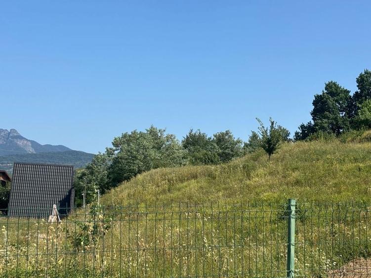 Teren Calimanesti 8//mp - 2