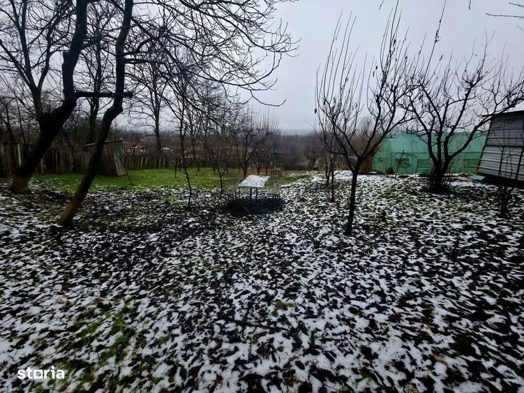 Teren intravilan 4,516mp Doina - 10